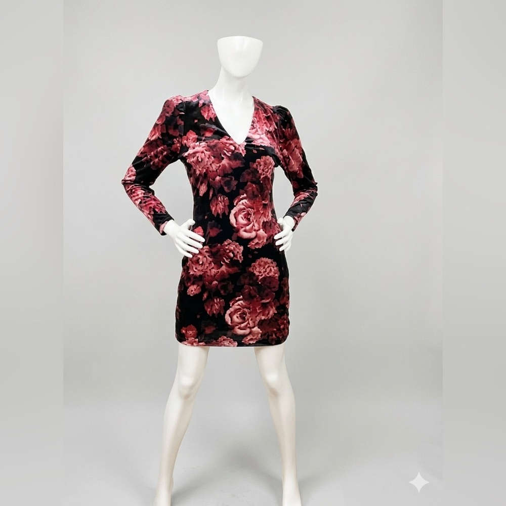 NWT Express Velvet Long Sleeve Dress